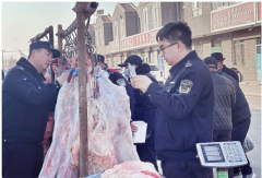 开展食用动物油整