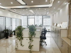 <strong>购需颠末天分审核</strong>